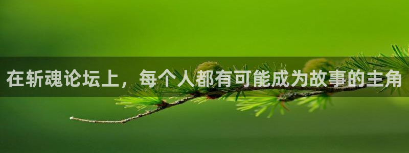 在斩魂论坛上，每个人都有可能成为故事的主角